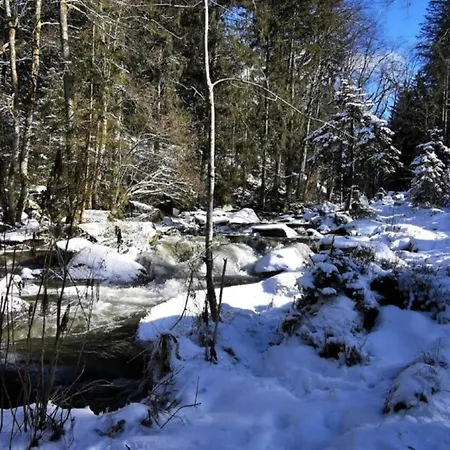 Geraeumige In Stocking In Waldnaehe 公寓