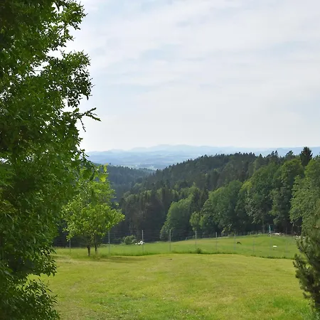 With Panoramic View Waldkirchen