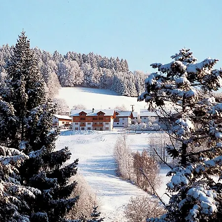 شقة Geraeumige In Stocking In Waldnaehe *