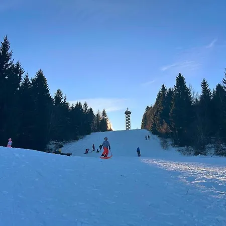 Geraeumige In Stocking In Waldnaehe *